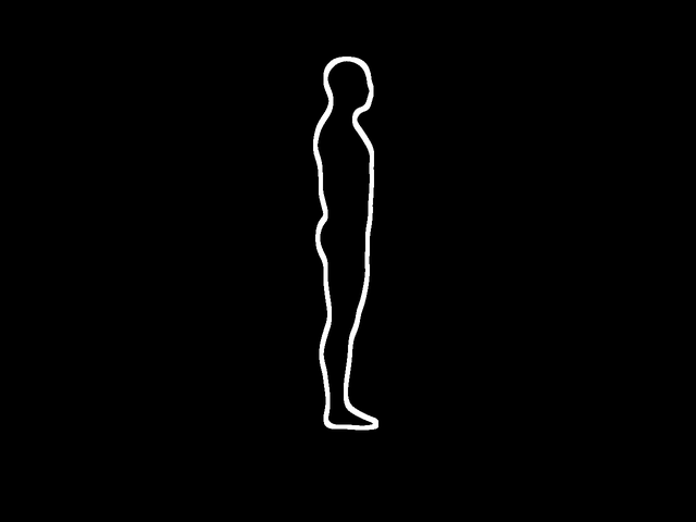 Lunges animation